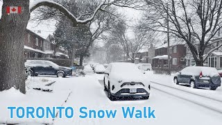 Toronto Snow Walk and Homes in Old City Neighborhood - Lawrence Park North | 4K Snow Video by Lvfree Adventures 1,932 views 1 month ago 11 minutes, 50 seconds