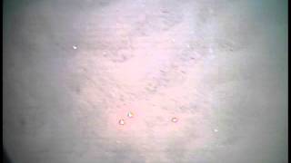 11006_DVD10_1_BIS34.m4v