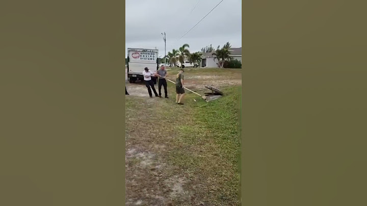 Cape Coral, Florida Fire Department rescues alligator stuck in storm drain