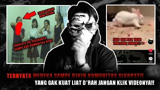 LANJUTAN K4SUS KELINCI PUTIH VIRAL DI TIKTOK