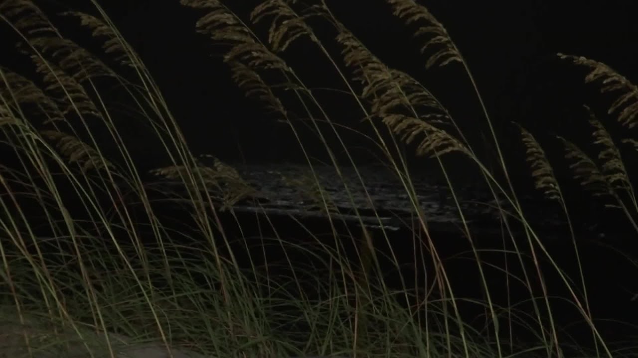 9OYS Coverage: Atlantic Beach