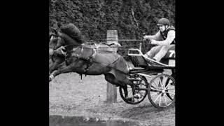 HÄSTTRAV POLKA (HEVOSRAVI POLKKA), Ragnar Sundquist levytti säveltämänsä polkan 13.6.1949