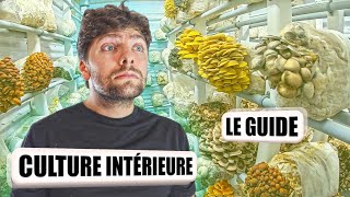 🍄 CULTURE des CHAMPIGNONS en INTÉRIEUR [Le guide]