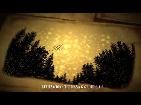 REEL ANIMACION
