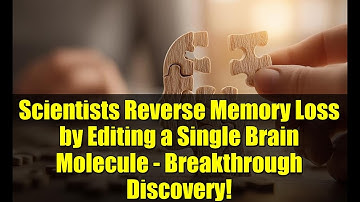 Scientists Reverse Memory Loss by Editing a Single Brain Molecule - Breakthrough Discovery!