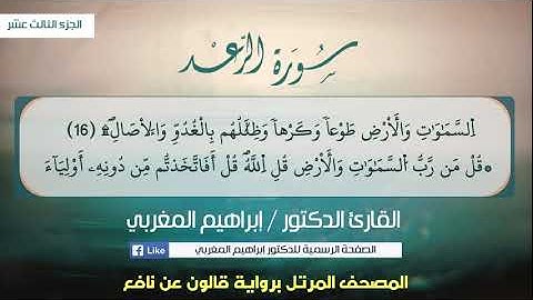 13- الرعد ،، برواية قالون عن نافع ،، القارئ د. إبراهيم المغربي