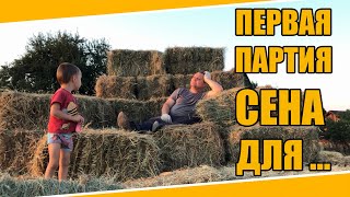 №0030 Заготовили сено для сельского хозяйства. Сельская жизнь. Настоящее их Хутора