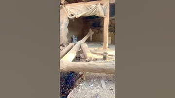 Rice Crushing Water Mill of Kashmir | #Shorts
