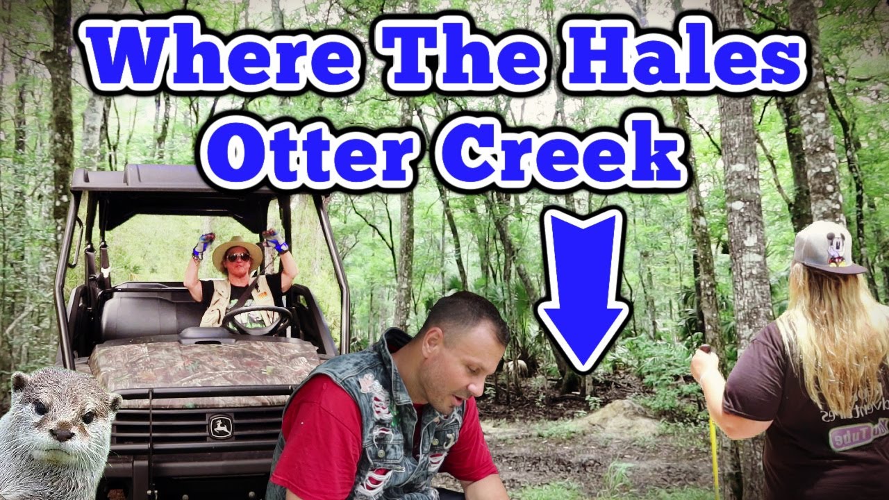 Where The Hales Otter Creek With Whatthehales Youtube