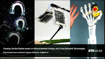 Robert Katzschmann - Creating Life-like Robots Based on Musculoskeletal Designs & Biohybrid Tech