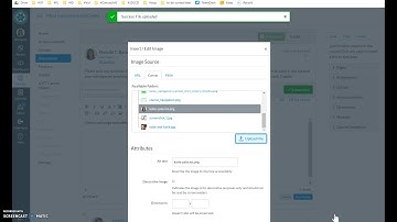 Embed image in Canvas Discussion