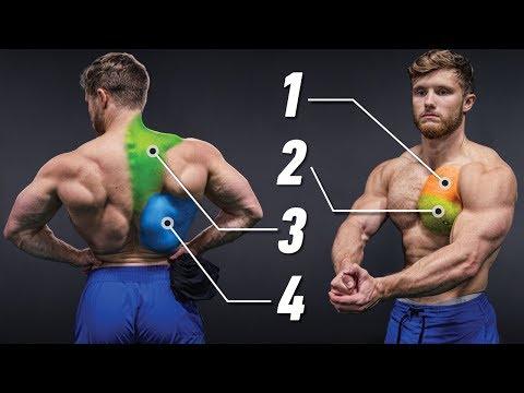 The Most Effective Science-Based Chest & Back Workout (Full Upper Body) | Science Applied