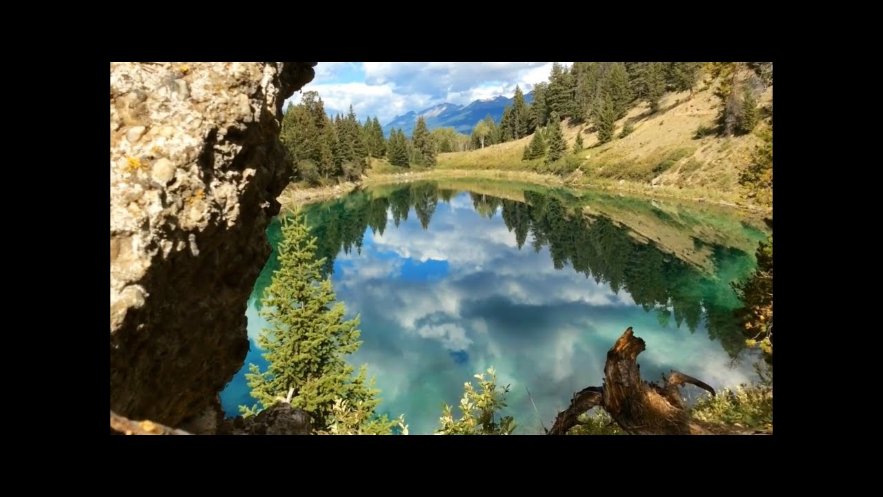 Jasper,cliff jumping, waterfalls, lakes, wildlife, skywalk & Columbia Icefield. YouTube