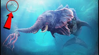 समुद्र के  सबसे बड़े और खतरनाक जानवर || Biggest and Dangerous Animals of the Sea || powerful animals