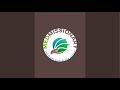 Natural Remedies | Med Missionary Conference