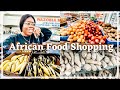 I Traveled To An African Food Store in Houston Texas! SHOP With Me!