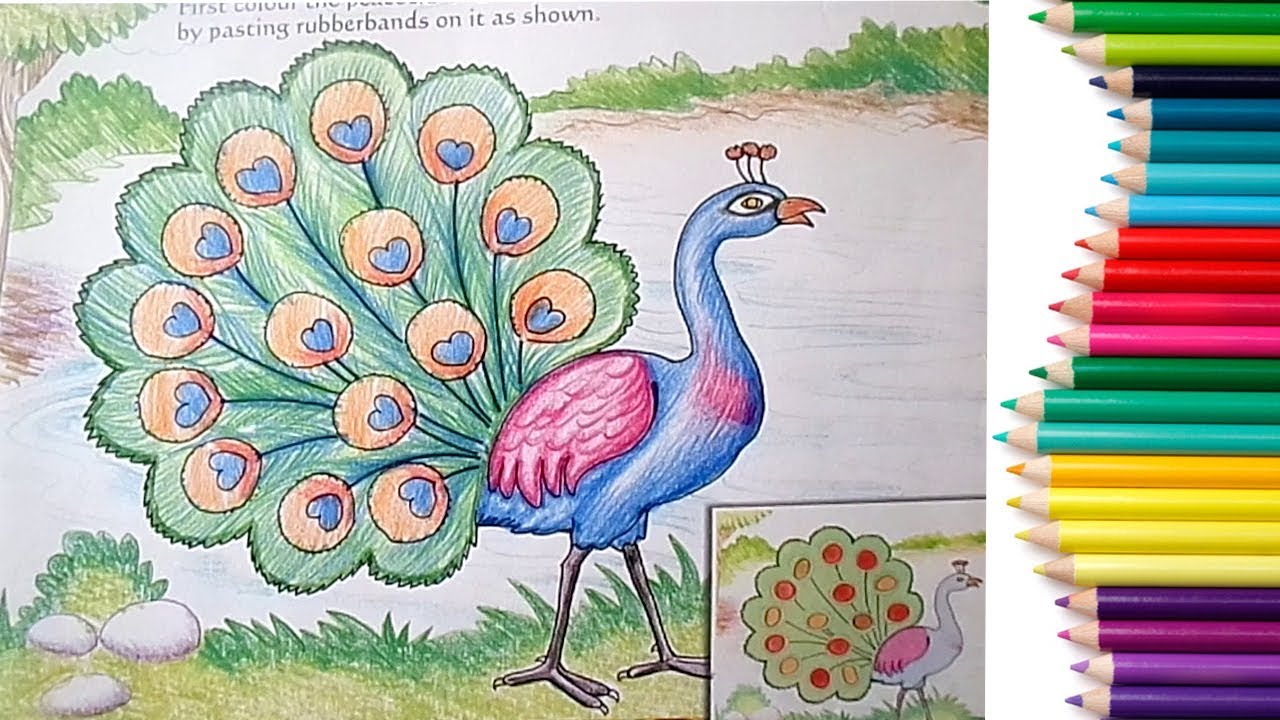 How to Draw a Peacock Step by Step in easy Method Drawing for Children