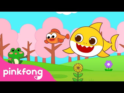 Hello, Spring is Here ? | Spring Season | Weather for Kids | Spring Songs | Pinkfong Baby Shark