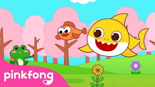 Video thumbnail of "Hello, Spring is Here 🌸 | Spring Season | Weather for Kids | Spring Songs | Pinkfong Baby Shark"