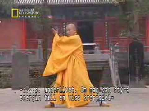 true power of shaolin kung fu