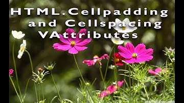 HTML Cellpadding and Cellspacing Attributes