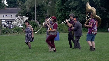 Concert on the Common: Catnip Junkies