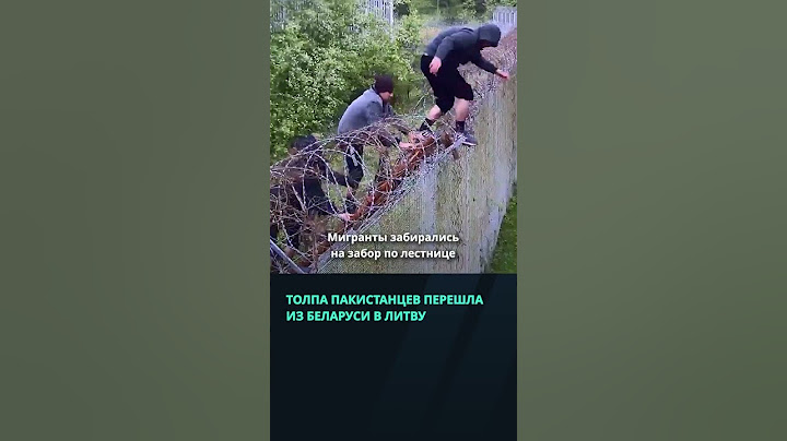 Рекордное число пакистанцев и афганцев пыталось перейти литовскую границу  #беларусь #минск #граница