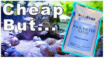 Using Pool Filter Sand in an Aquarium: The Good and The Bad
