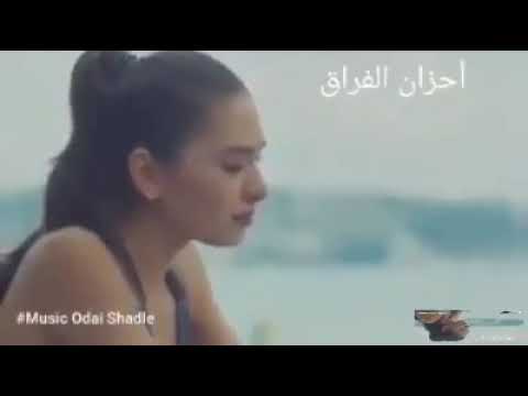 انا اللي طلعت استاهل حالات واتس