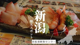 新鮮な海鮮が食べれる！牡蠣もその場で割って食べれる！｜岩船港鮮魚センター｜新潟｜村上市