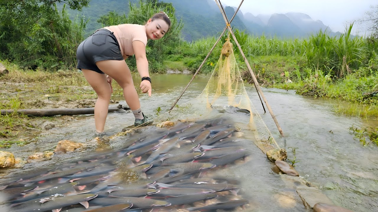 The girl caught a lot of big fish by using a simple fish trap net ...