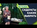 Какие Сидераты выбрать 🌱 Всё о Сидератах  🌱 Улучшаем почву с  Хитсад ТВ