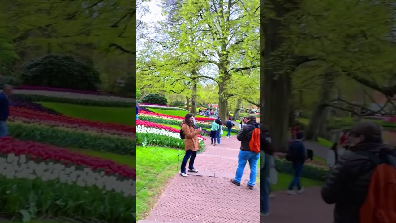 7 Million Flowers Wonder Gardens