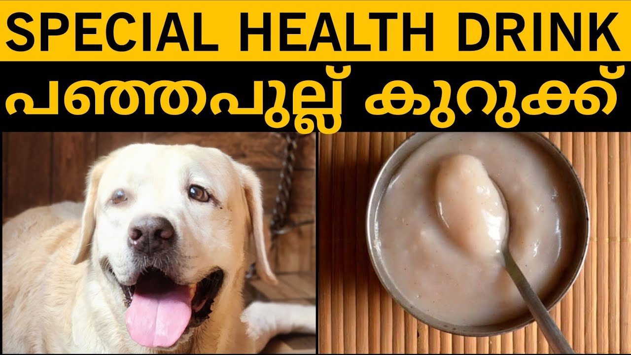 മുത്താറി എങ്ങനെ ഉണ്ടാക്കാം How to make Ragi Health Drink for dogs