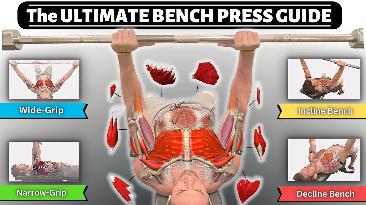 BEFORE YOU BENCH PRESS, Understand the Anatomy Behind it! (Incline,  Decline, Close Grip, Wide, Form) 