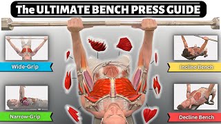 BEFORE YOU BENCH PRESS, Understand the Anatomy Behind it! (Incline, Decline, Close Grip, Wide, Form)