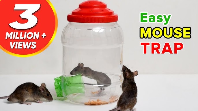 Home Garden DIY Pest Controller Rat Trap Quick Kill Seesaw Mouse