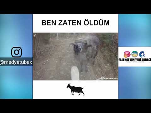 EN KOMİK FURKAN EMİRCE FARUK DUBLAJ VİDEOLARI