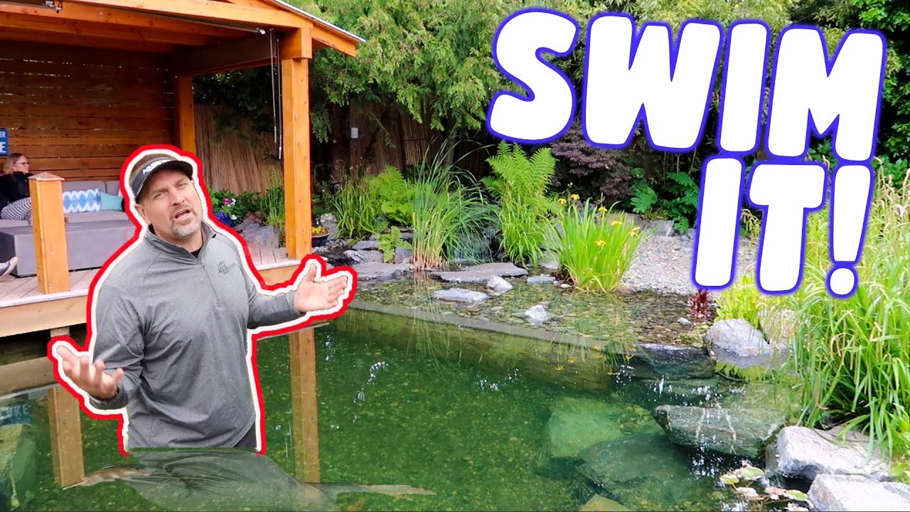 Can You Swim in a Pond? Dive Into Safety Tips & Facts