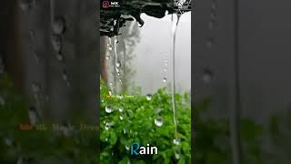 Rain ☔ Adai Mazhai Varum Bgm