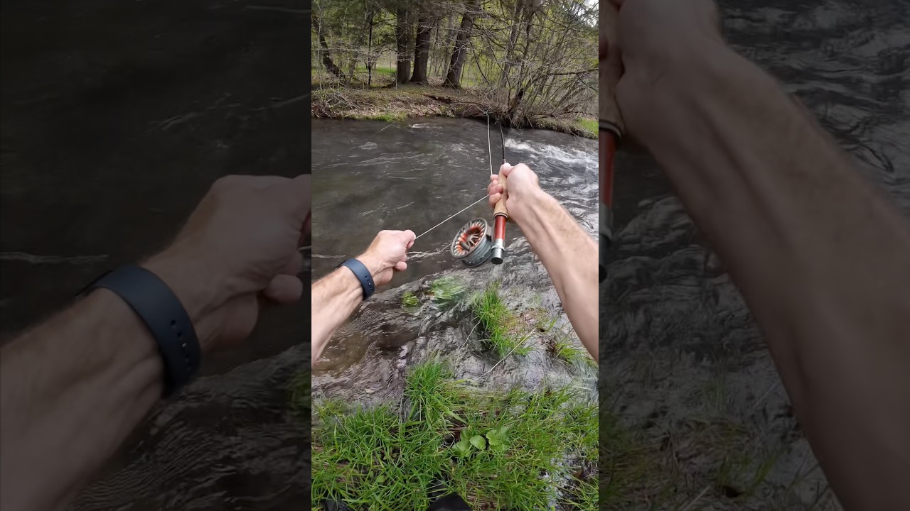 Случалось ли такое с вами? 