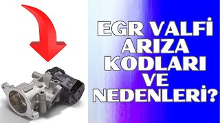 EGR Valf Sistemi Hakkında Sır Dolu Bilgiler