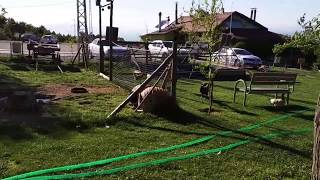 حديقة ياكا مانستر في بيشهير..قونيا \\\\ Maher Zain - Cennet