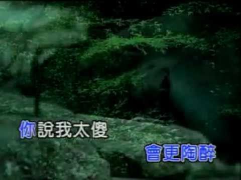 張清芳 - 花雨夜