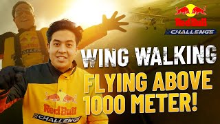 Red Bull Challenge: Wing Walking in Extreme Temperatures! ft Jerome Polin