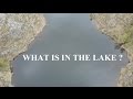 Magnetfishing : mysteries in a lake.