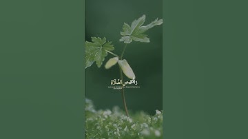 #القرآن_الكريم #تلاوة_خاشعة #آيات #quran #اكسبلور #explore #viralvideo #راحة_نفسية #explorepage