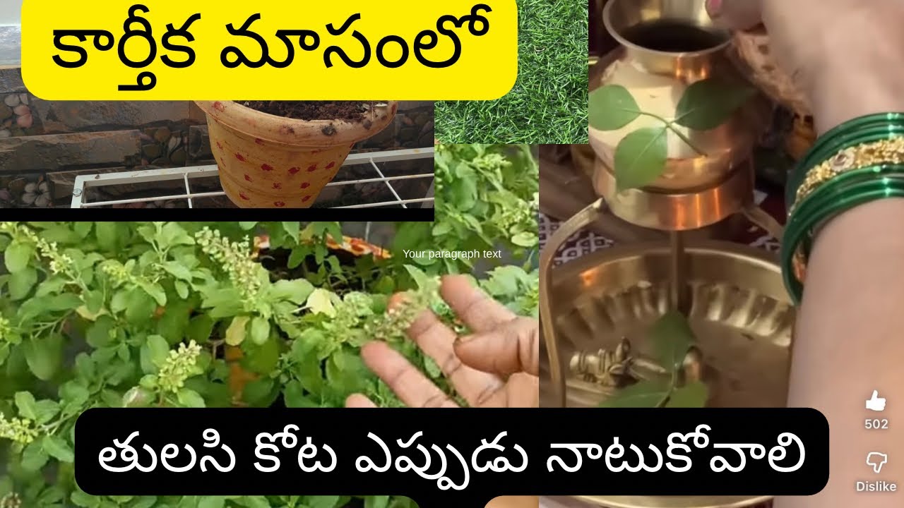 2025# కార్తీక మాసంలో తులసి కోట ఎప్పుడు నాటుకోవాలి? ఏ దిక్కున నాటుకోవాలి? Tulasi Pooja vidhanam🌿☘️⛳️🙏