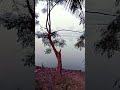 Mausam aashikana hai