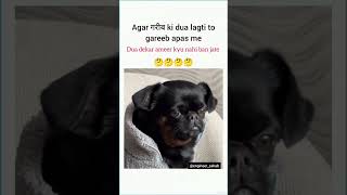 gareeb #viral #memes #trending #popular #funny#funnymemes#tweetreels #explore #dog #lofimusic